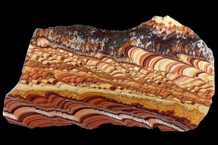 Polished Section of Rolling Hills Dolomite - Mexico #120114